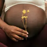 Fertility Foundations